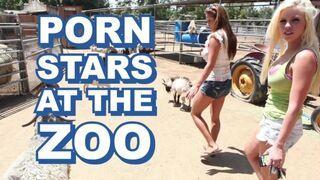 Verspielte Pornostars jagen den Zoo-Keeper und reiten ihn data-opt-timeout=